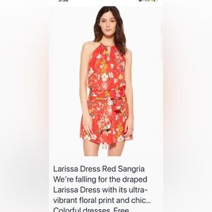 Parker Marissa mini dress. Worn 1-2x‎
